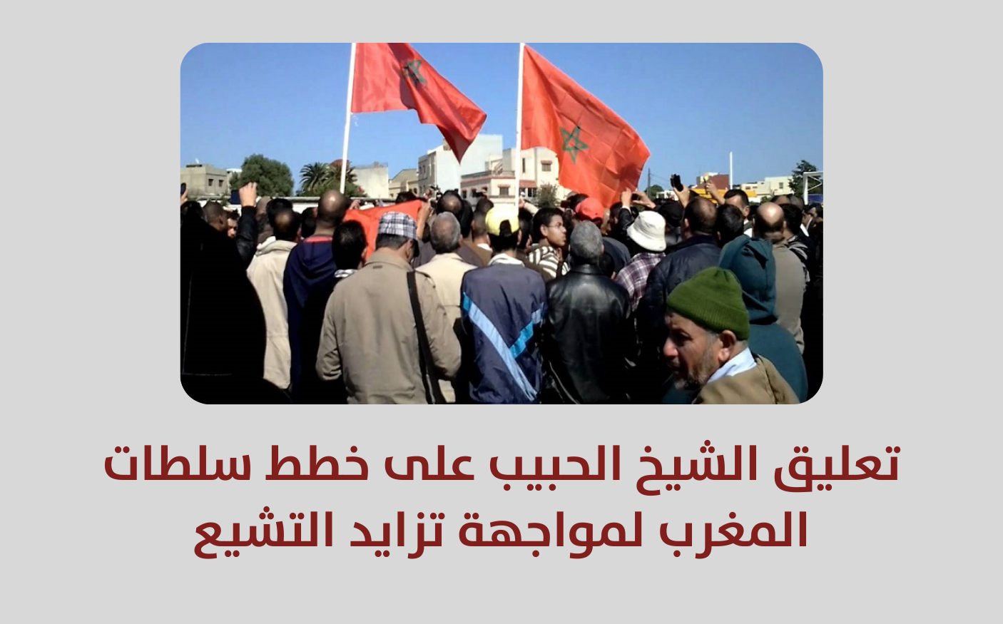 تصريح | تعليق الشيخ على خطط سلطات المغرب لمواجهة تزايد التشيع